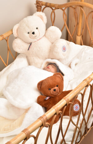 Petit Ours Marron 25 cm Fleximoov® dans un berceau – Peluche bébé douce et articulée