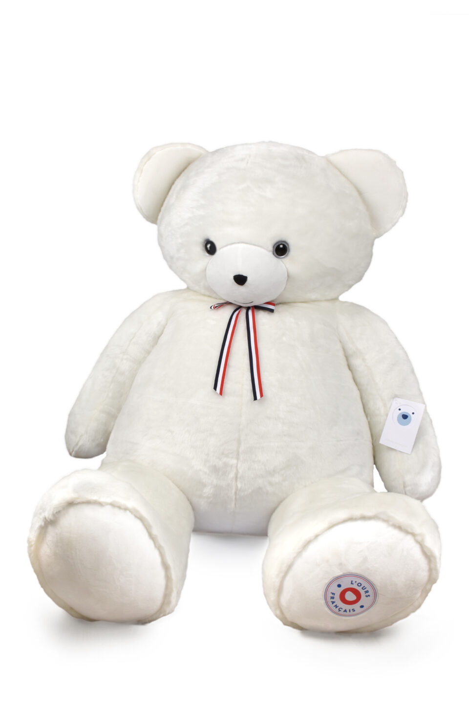 L'ours français géant 2 mètres 20 blanc